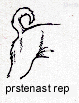 prstenast rep